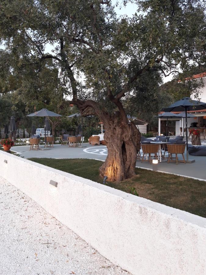 Hotel Orama Thassos Skala Sotiros Exterior foto